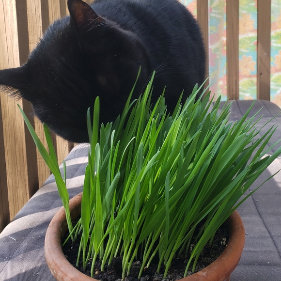 My Bebes! - Picture 2 of 15